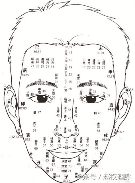 面相年齡|【面相年紀】面相年紀大解密！觀相知人，部位流年相。